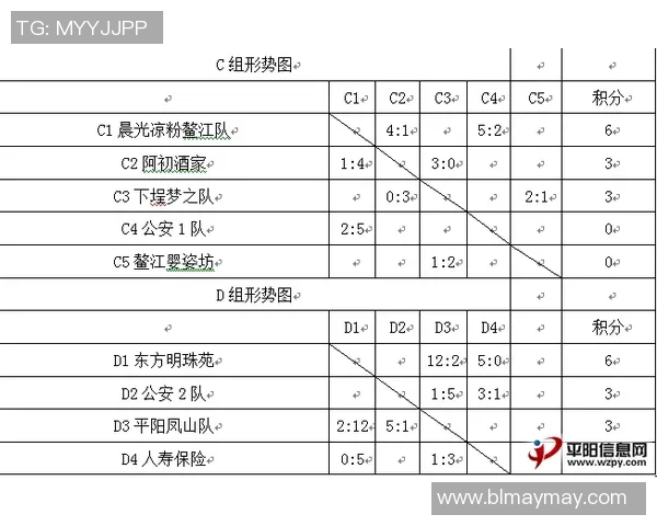 重庆足球队杯赛表现分析与状态评估探讨